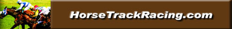 Horse track racing